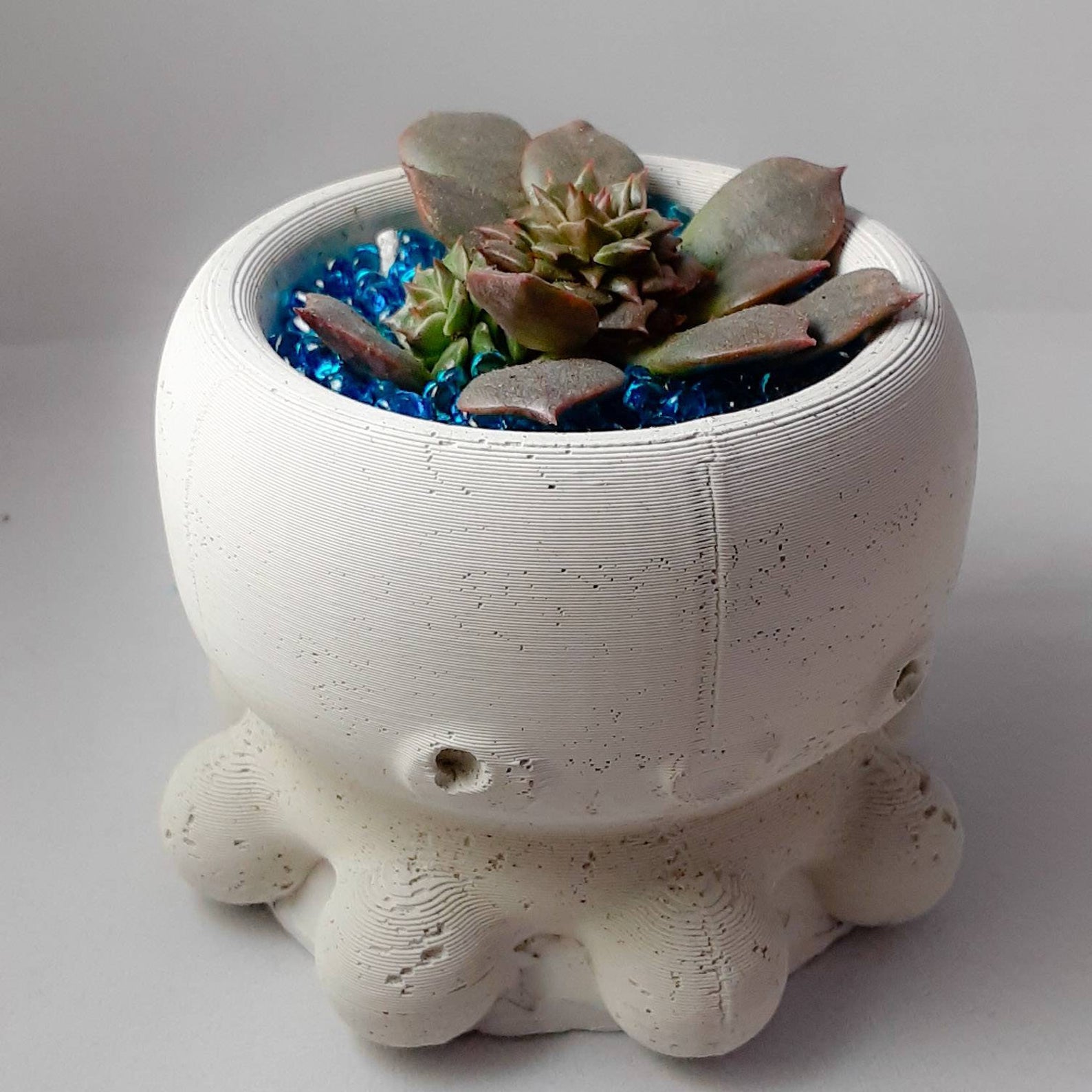 Octopus 3 inch Cement Art | Ambrias Ink - plants + art and design